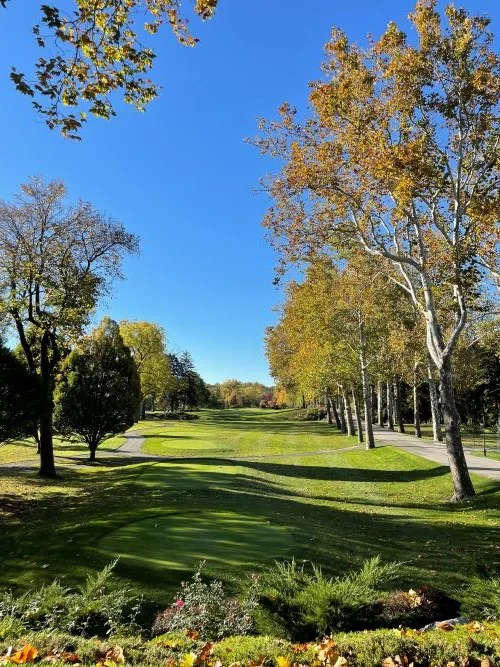 Tree-lined fairway in autumn