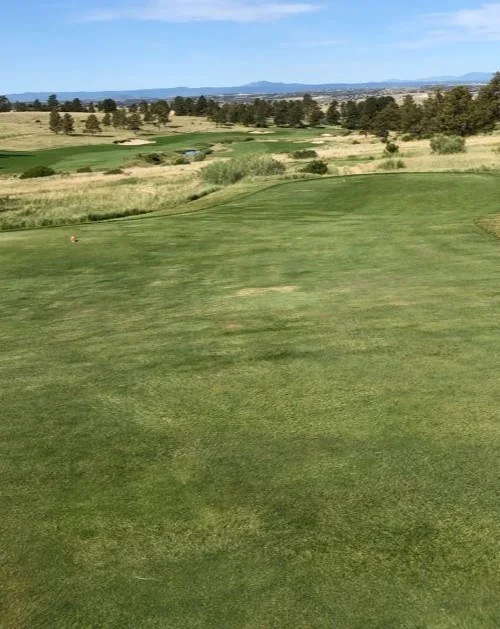 Fairway and mountain horizon in a dry climate